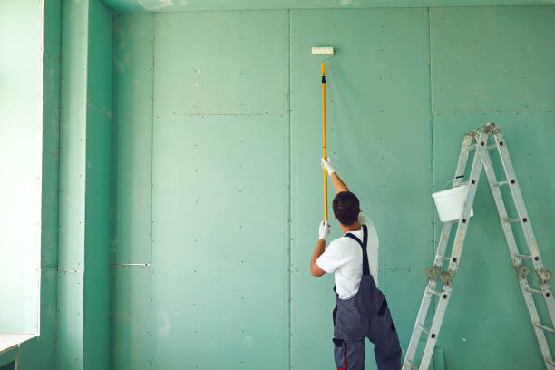 Best Mold Prevention Services  in Rochester, WI