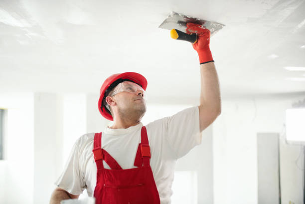  Rochester, WI Mold Removal Pros