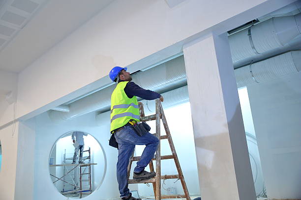 Best Attic Mold Removal  in Rochester, WI