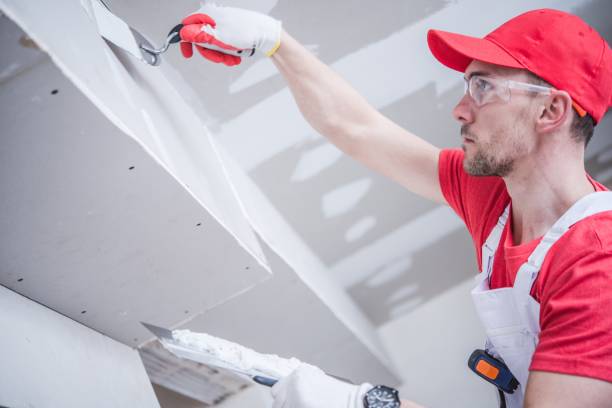Best Emergency Mold Remediation  in Rochester, WI