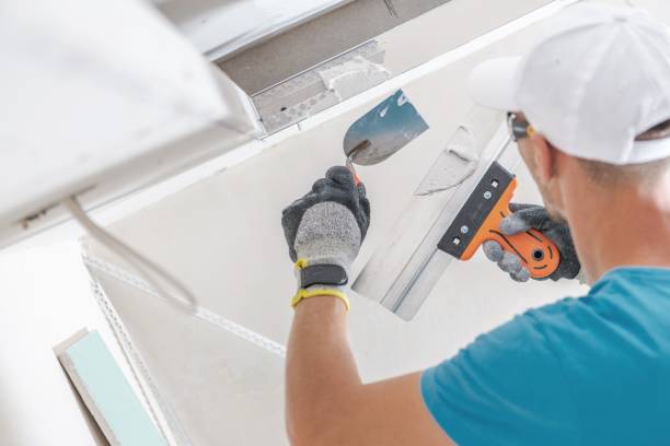 Best Airborne Mold Testing  in Rochester, WI